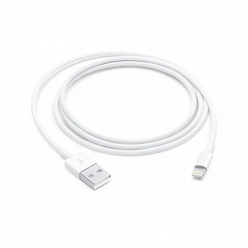 Apple Lightning to USB cable 1m